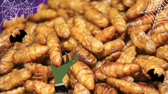 crickets and grasshoppers are one of the latest creepies food trends